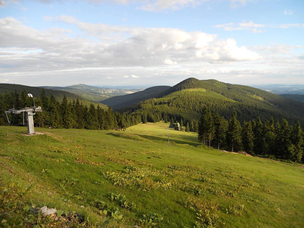 Previt Janek Bed & Breakfast Rokytnice nad Jizerou Exterior photo