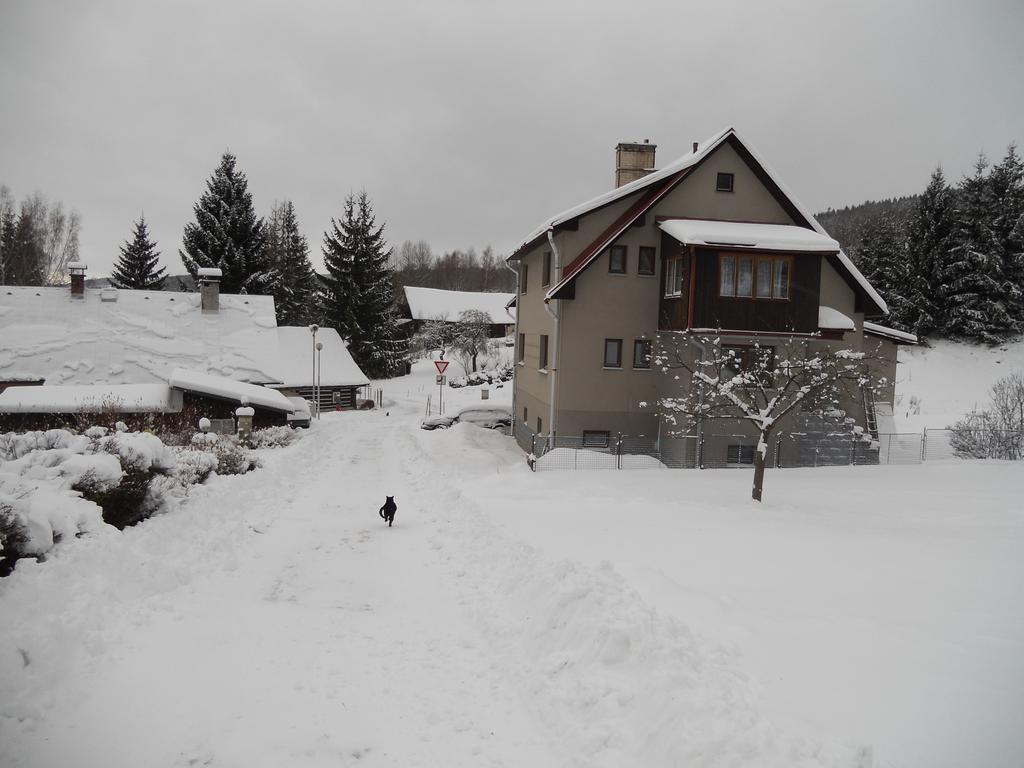 Previt Janek Bed & Breakfast Rokytnice nad Jizerou Exterior photo